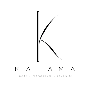 light logo